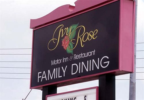 وندسور Ivy Rose Motor Inn المظهر الخارجي الصورة
